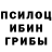 Галлюциногенные грибы мухоморы LisicaKaterina