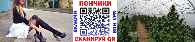 KRAKEN сайт  Вилючинск  Конопля Bruce Banner 